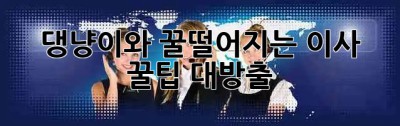 🐾 댕냥이와 꿀떨어지는 이사? 꿀팁 대방출! 🍯