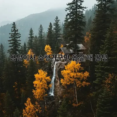 용달이사, 소형가구만 옮길 때 꿀팁!