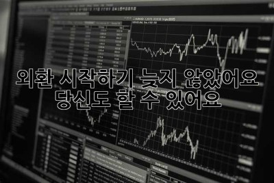 외환 시작하기: 늦지 않았어요! 당신도 할 수 있어요!