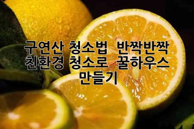 ✨ 구연산 청소법 ✨: 반짝반짝 친환경 청소로 ✨ 꿀하우스 만들기 🏠