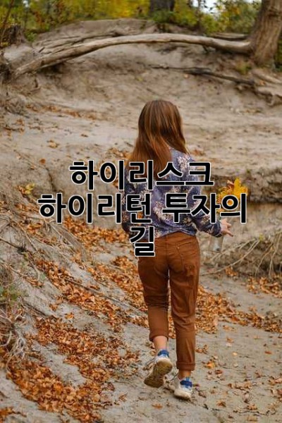 하이리스크 하이리턴 투자의 길
