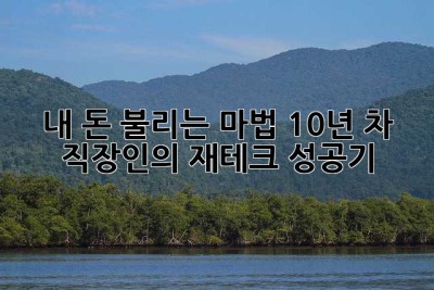 내 돈 불리는 마법: 10년 차 직장인의 재테크 성공기