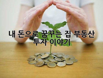 내 돈으로 꿈꾸는 집, 부동산 투자 이야기 ✨