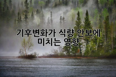 기후변화가 식량 안보에 미치는 영향