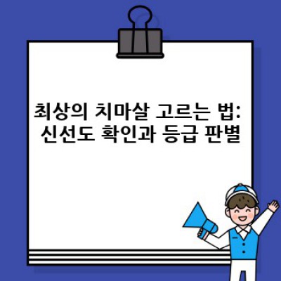 치마살 완벽 가이드: 최고의 맛과 품질을 찾는 당신을 위한 모든 것
