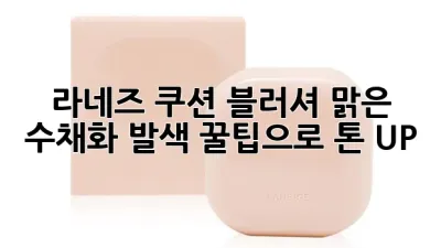라네즈 쿠션 블러셔: 맑은 수채화 발색, 꿀팁으로 톤 UP! 🌸
