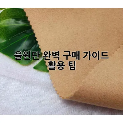 울원단, 완벽 구매 가이드 & 활용 팁